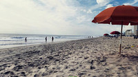 Ocean Life